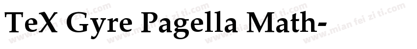 TeX Gyre Pagella Math字体转换